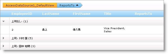 WebHierarchcialDataGrid CustomTextinGroupRow 03.png