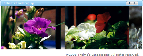 WebImageViewer Header and Footer 01.png