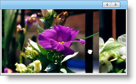 WebImageViewer_Scroll_Images_While_Dragging_the_Mouse_01