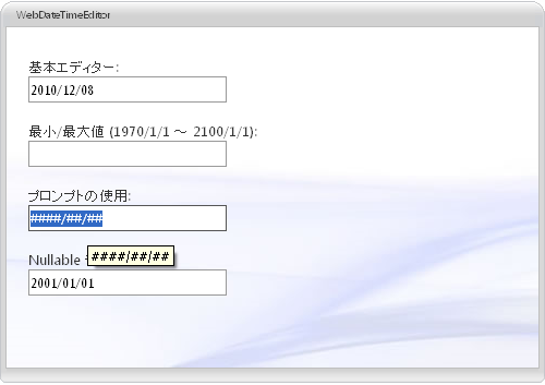 WebDateTimeEditor About WebDateTimeEditor 01.png