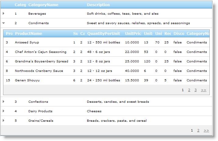 WebHierarchicalDataGrid Enabling Paging 02.png