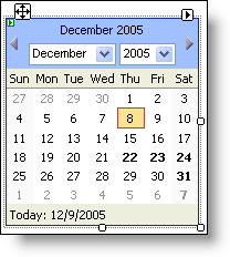 WebSchedule Using Editable Designer Regions in the WebCalendarView 01.png