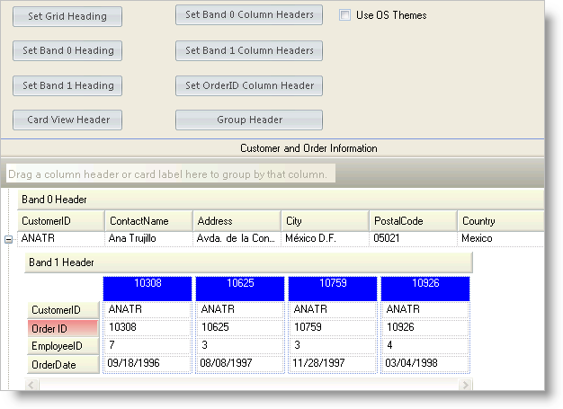 WinGrid Changing the Appearance of WinGrid Headings 01.png