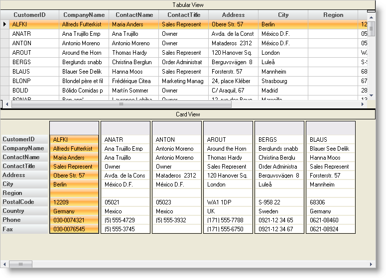 WinGrid Displaying Data in an Alternate Card View 01.png