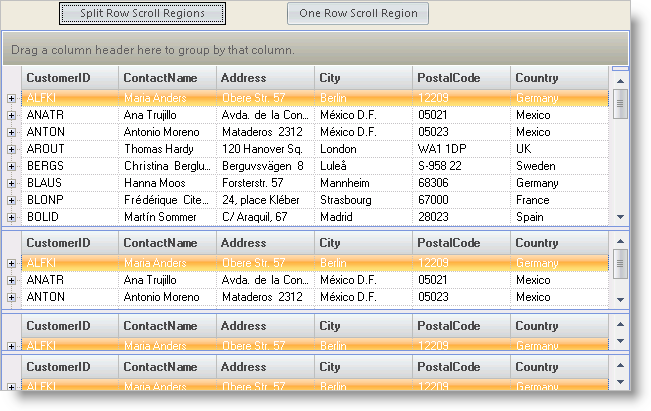 WinGrid Working with Row Scroll Regions 01.png