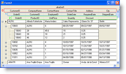 WinGrid No Repeat Column Headers 02.png