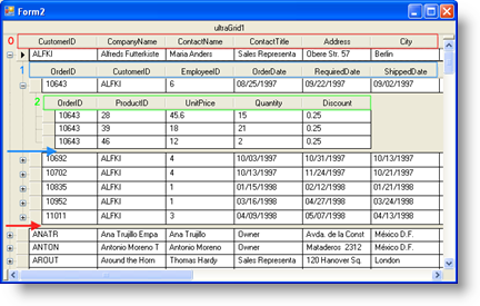 WinGrid No Repeat Column Headers 03.png