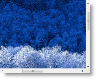 WinScrollBar Walk Through Scrolling with WinScrollBar 04.png