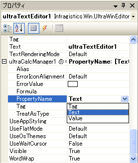 WinCalcManager Summing Two Controls at Design Time 02.png