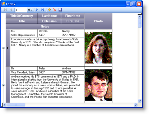 WinGrid Advanced Row Layouts Part 1 of 2 09.png