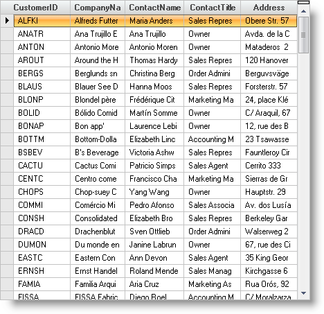 WinGrid Auto Sizing Columns and Rows 01.png