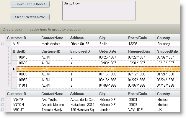 WinGrid Working with Selected Rows 01.png