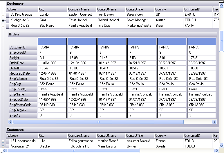 WinGrid Card View Overview 03.png