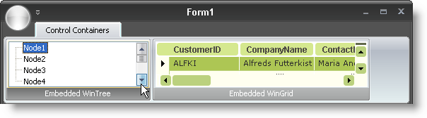 WinToolbarsManager ControlContainer Tool Now Works Inside the Ribbon Whats New 20071 01.png