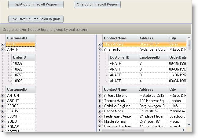 WinGrid Working with Column Scroll Regions 01.png