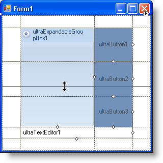 WinGridBagLayoutPanel Arranging Controls in WinGridBagLayoutPanel 02.png