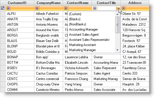WinGrid Use the Filter Row Feature 01.png