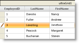 WinGrid Styling Row Selector Images for Different States of a Row 03.png