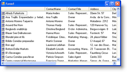 WinListView Automatically Fit All Columns in Details View 01.png