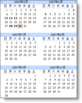 WinMonthViewMulti の画像