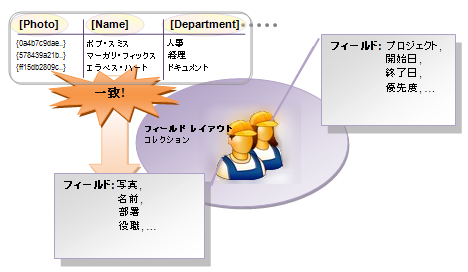 フィールド レイアウトの説明の図