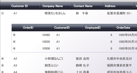 展開可能のフィールド レコードを表示する xamDataGrid