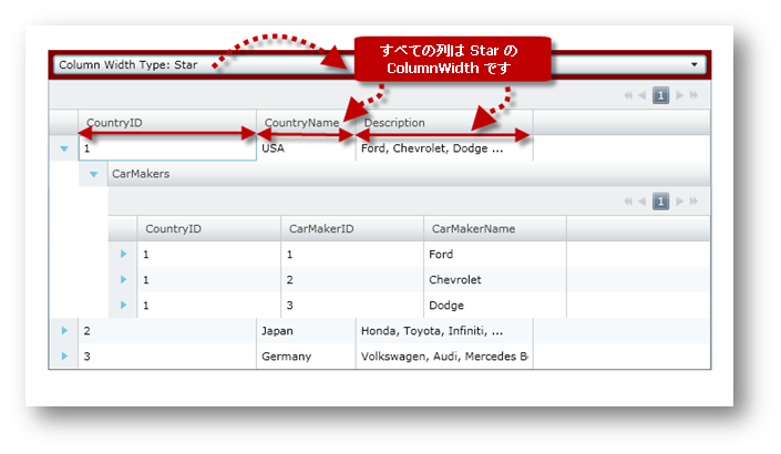 xamGrid Change Column Width Settings 01.png