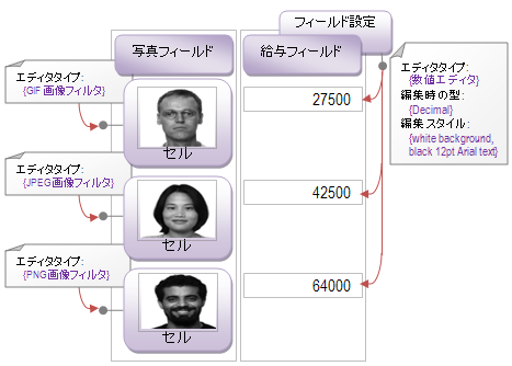 エディターは Field または Cell レベルのいずれかで適用できます。