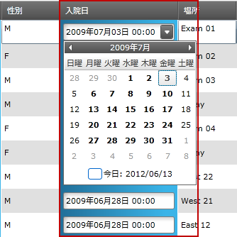 xamGrid DateTimeColumn 1.png