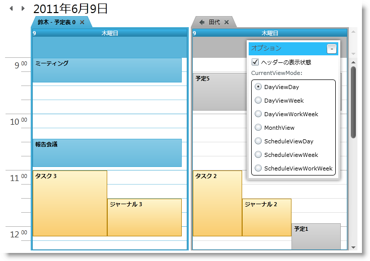 xamOutlookCalendar IGView.png