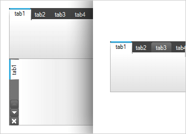 Windows Forms Tab Control