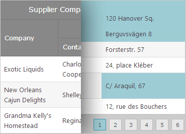 ASP.NET Data Grid